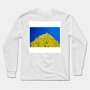 oaxaca pollen ecopop landscape photograph in mexico journey Long Sleeve T-Shirt